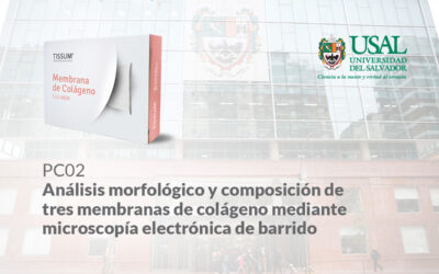 Análisis morfológico y composición de 3 membranas de colágeno