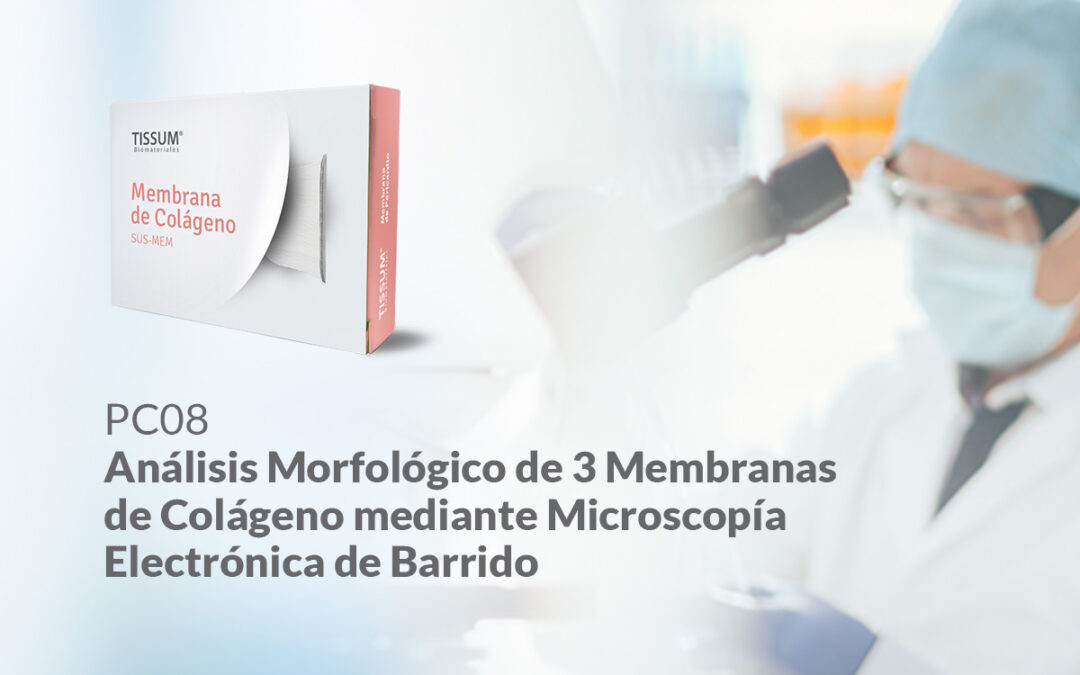 Análisis Morfológico de 3 Membranas de Colágeno mediante Microscopía Electrónica de Barrido