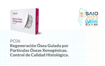 ROG por Partículas Óseas Xenogénicas. Control de Calidad Histológico.