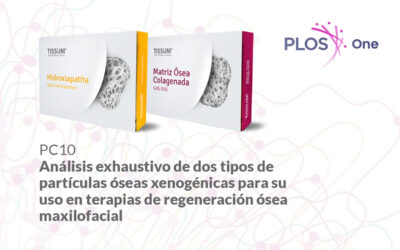 Análisis exhaustivo de dos tipos de partículas óseas xenogénicas para su uso en terapias de regeneración ósea maxilofacial
